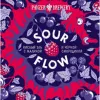 4 — Sour Flow Малина/Смородина