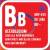 2 — BeerBlogium (Sour Ale With Raspberry, Grapefruit And Black Currant)