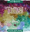 2 — Темпера  Galaxy