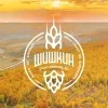 1 — Шишкин Лёгкое