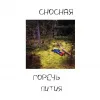 1 — Сносная Горечь Пития