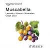 214 — Muscabella (2023)