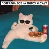 26 — Транжира