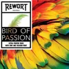 3 — Bird of Passion