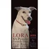 5 — LORA
