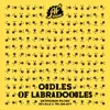 11 — Oodles of Labradoodles