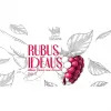 5 — Rubus Ideaus Berry Cider Zero Dosage Brut 2023