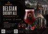 3 — Belgian Cherry Ale