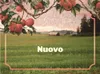1 — Nuovo