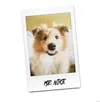 2 — Mr. Nike