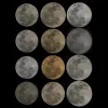 1 — Moonshine Hops