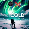 11 — Cold Silence
