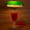 106 — Смородина красная